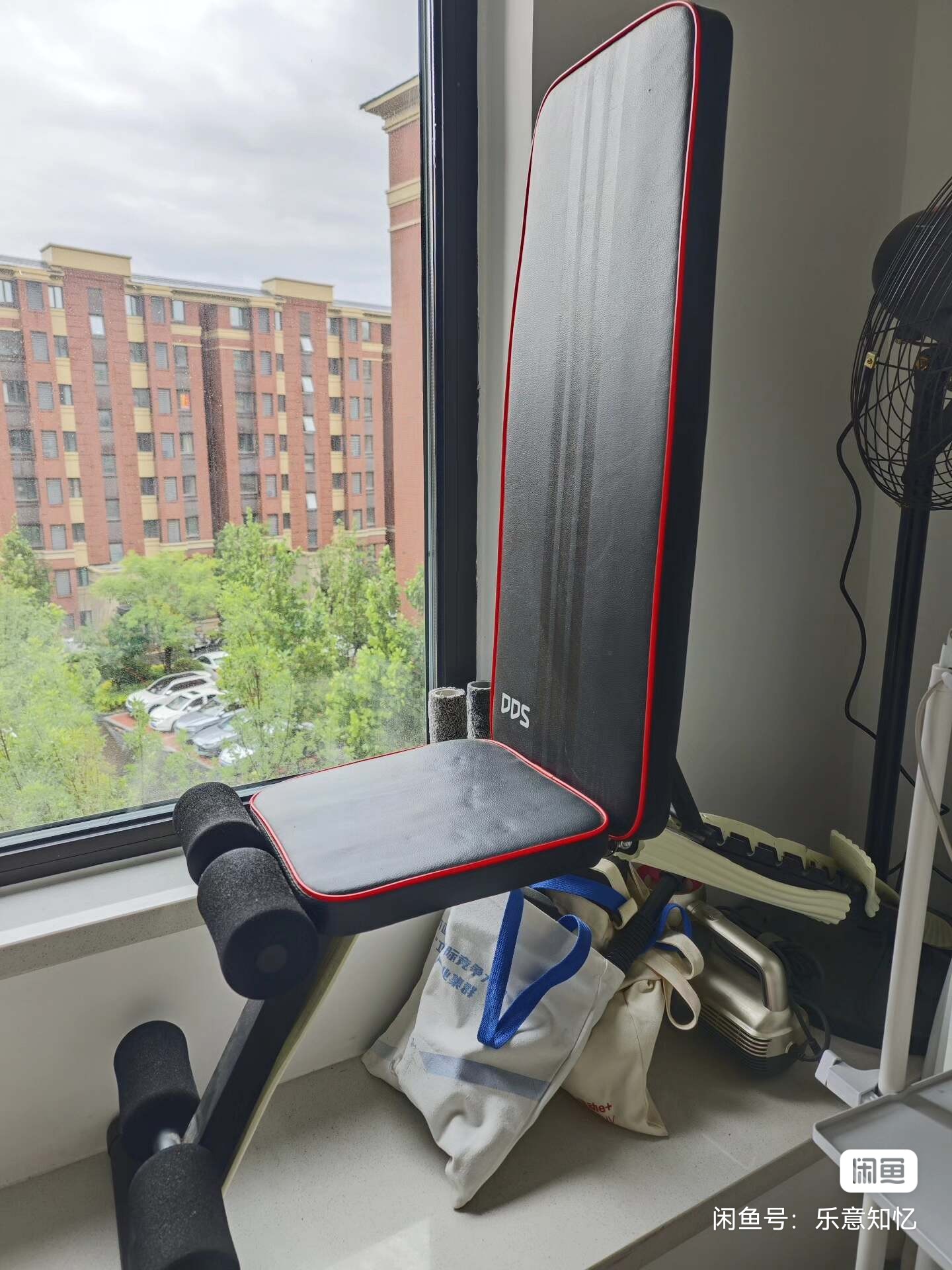 image_editor_1781099176442.jpg